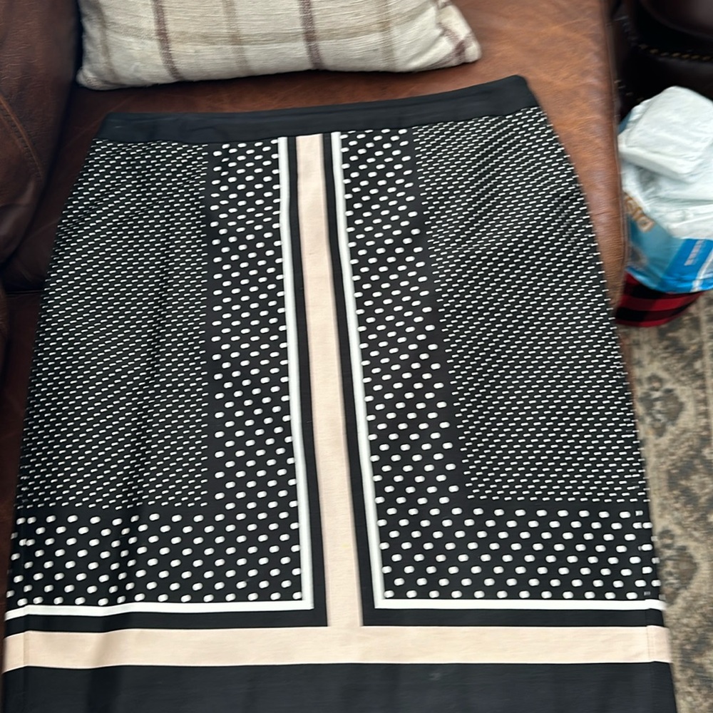Ann Taylor very cute skirt